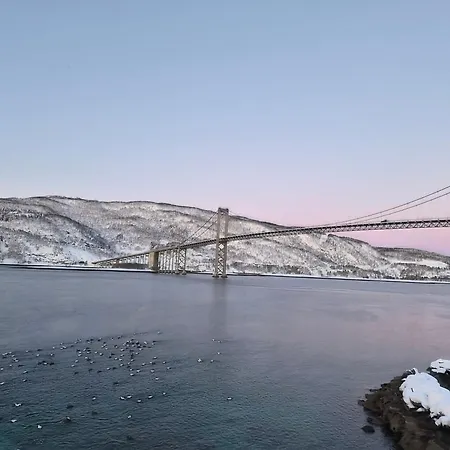 Tjeldsund Tide Nr. 5 *